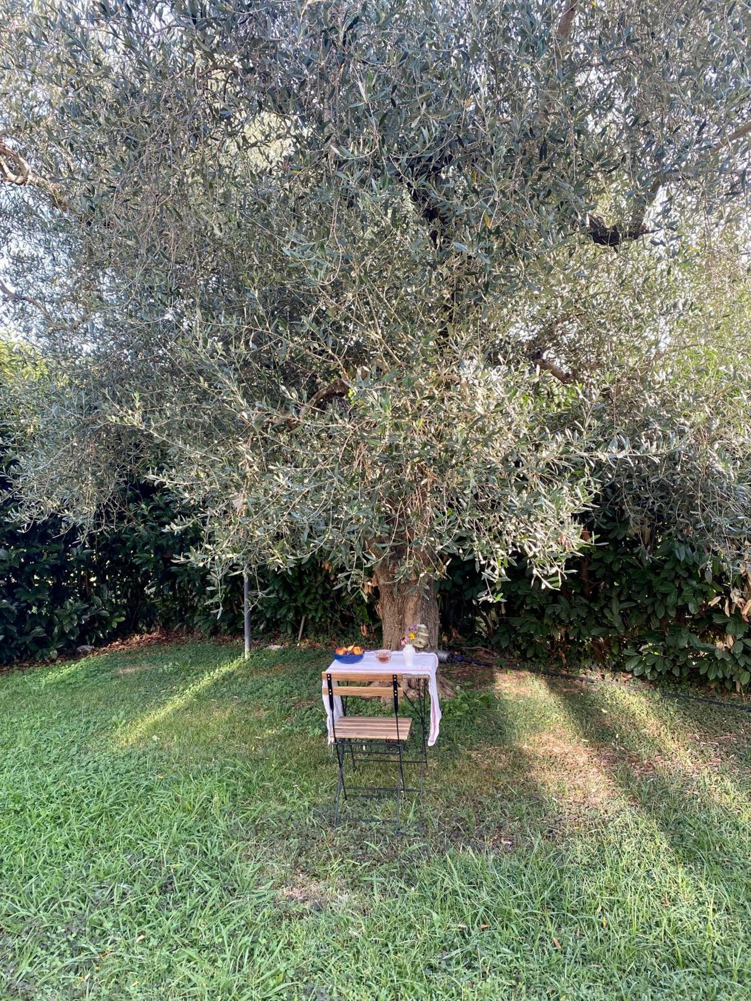 La Locanda Del Tevere Fiano Romano Eksteriør billede